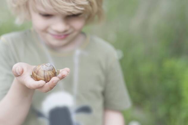 Germany, Saxony, Edible snail on hand of a boy model released  MJF001291