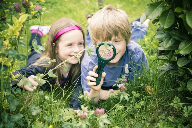 Brother and sister lying on meadow watching flowers with magnifying glass model released  SARF000679