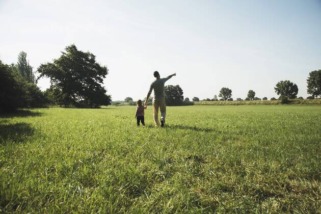 Father walking with his little daughter on a meadow model released Symbolfoto  UUF001522