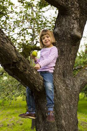 Portrait of smiling little girl with an apple sitting on an apple tree model released Symbolfoto  LVF001795