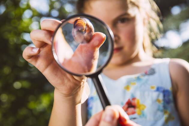 Germany, Northrhine Westphalia, Bornheim, Girl examining snail with magnifying glass model released Symbolfoto property released  MFF001213
