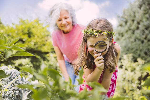 Germany, Northrhine Westphalia, Bornheim, Grandmother and granddaughter working in vegetable garden model released Symbolfoto property released  MFF001196