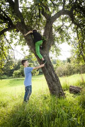 Boy helping his friend to climb down a tree model released Symbolfoto  PAF000858