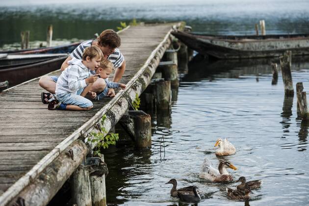 Germany, Rhineland-Palatinate, Laacher See, father with two sons on jetty feeding ducks model released Symbolfoto  PAF000924