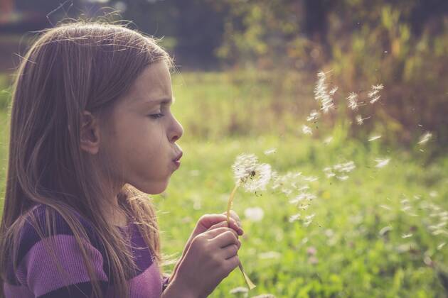 Little girl blowing blowball model released Symbolfoto  SARF000937