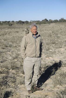 IMAGO ICONS: Sir David Attenborough Sir David Attenborough mit Erdmännchen auf der Schulter, Filmarbeiten für BBC-Serie Life of Mammals, Kalahari, Provinz Nordkap, Südafrika iblsew04018481.jpg