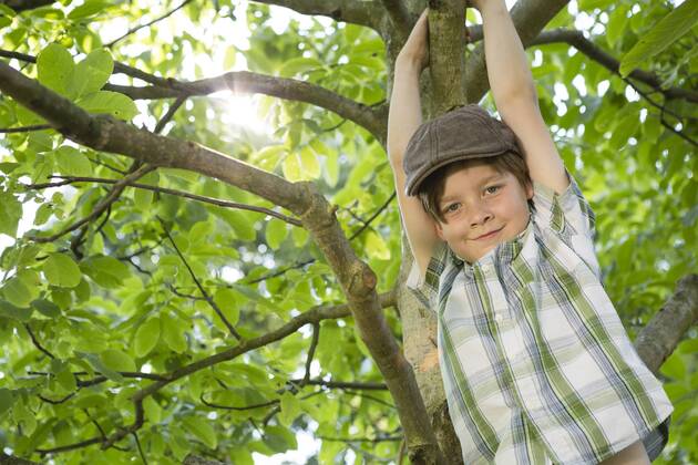 Portrait of little boy climbing in a tree model released Symbolfoto  FKIF000045