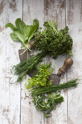 Herbs of Frankfurt green sauce and mezzaluna  CSF024615
