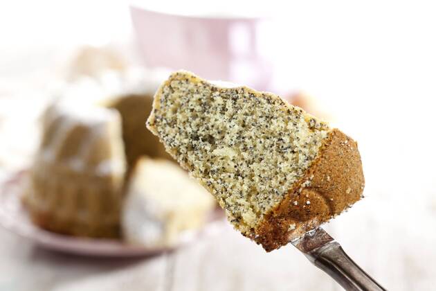 IMAGO Creative: Food, Mohn Piece of poppy seed cake  CSF024900