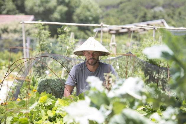 IMAGO Creative, Jahreszeit Sommer, Sonnenschutz Gardener with Asian hat at work model released Symbolfoto property released  ZEF004046