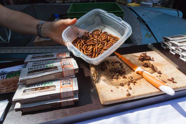 Verkaufsstand Insektenriegel - Paleo Convention 2015 Neue Heimat Berlin xASx