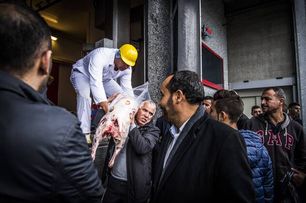 - GENT, BELGIUM: Illustration picture taken during a press conference on the occasion of the Aid el Kebir, also called Feast of the Sacrifice, in the slaughterhouse in Zottegem, Thursday 24 September 2015. On Aid-el-Kebir, muslims slaughter a sheep to honour the prophet Ibrahim. JASPERxJACOBS 04707315