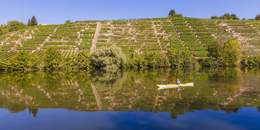 Deutschland - Flüsse, Neckar Germany, Stuttgart, woman kayaking on Neckar in front of vineyards model released Symbolfoto property released  WDF003251