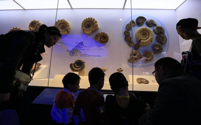CHONGQING -- People visit the new Chongqing Museum of Natural History in Chongqing, southwest China, Nov. 15, 2015. The new Chongqing Museum of Natural History, the second largest natural museum in China, reopened on Nov. 9, 2015. ) (zwx) CHINA-CHONGQING-MUSEUM OF NATURAL HISTORY-REOPENING(CN) QinxTingfu 