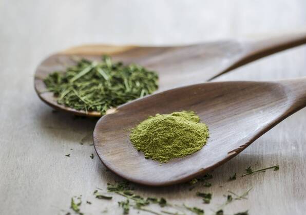 Moringa oleifera, powder and chopped leaves on wooden spoons  GSF001063