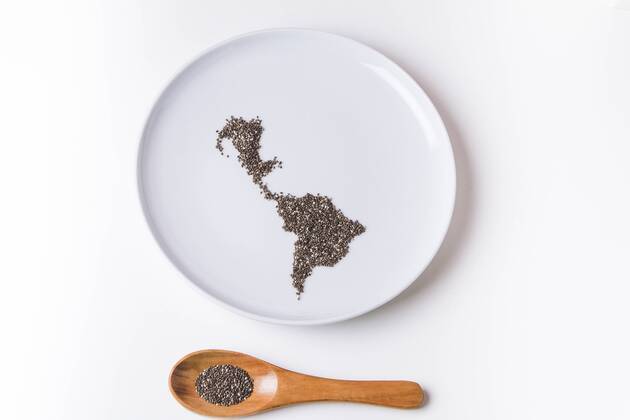 Chia seeds on plate shaped like a map of latin america with wooden spoon  FLF001312