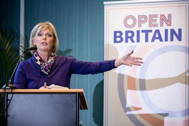 November 28, 2016 - London, London, UK - London, UK. Conservative MP Anna Soubry speaks at the Open Britain event, a cross-party campaign arguing for continued membership of the single market, following Britain s decision to leave the EU. London UK - ZUMAl94_ 20161128_zaf_l94_033