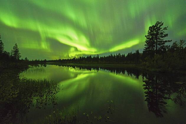 Nordlicht (Aurora borealis) spiegelt sich in einem See, Schweden, Lappland, Norrbotten, Muddus Nationalpark polar lights reflecting in a lake, Sweden, Lapland, Norrbotten, Muddus NP BLWS441853 Copyright: xblickwinkel McPHOTO G.xStreux