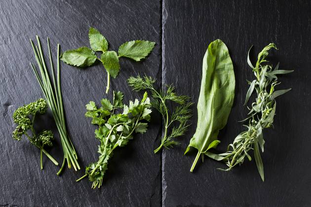 Ingredients of Frankfurt green sauce  CSF28186