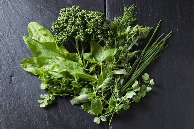 Ingredients of Frankfurt green sauce  CSF28185