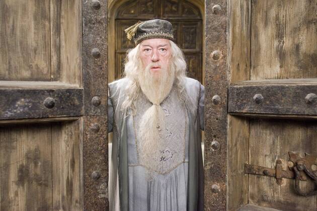 Warner Brothers Pictures Presents Harry Potter and the Order of the Phoenix Michael Gambon © 2007 Warner Bros. Entertainment Inc. - Harry Potter Publishing Rights © J. K. R.  Copyright: xMurrayxClosex 30292_018