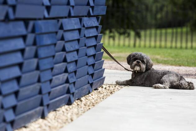 Francis Kere, Serpentine Pavilion 2017, London, UK London, UK. 20 June 2017. Diebedo Francis Kere, the award-winning architect from Gando, Burkina Faso, has designed the Serpentine Pavilion 2017, next to the Serpentine Gallery in Kensington Gardens. Kere leads the Berlin-based practice Kere Architecture. He is the 17th architect to accept the Serpentine Gallery s invitation to design a temporary Pavilion in its grounds. The Pavilion is open to the public from 23 June to 8 October 2017.
