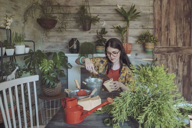 Young woman planting cactuses model released Symbolfoto property released  RTBF00873
