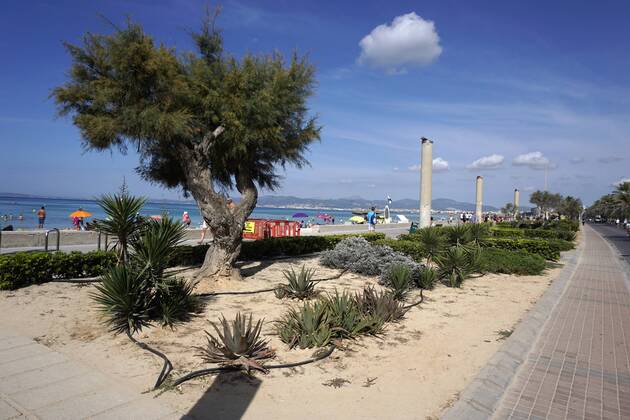 06 09 2017 Spain Island Mallorca at Tourists Hotspot Ballermann in El Arenal 06 09 2017 Mallorca 06 09 2017 Mallorca