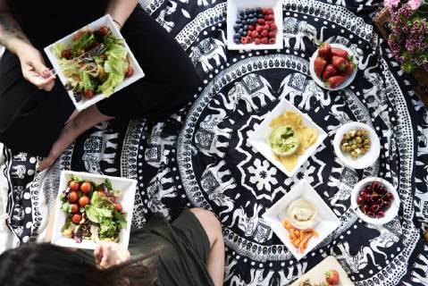 Friends having a healthy picnic in the park model released Symbolfoto  IGGF00035