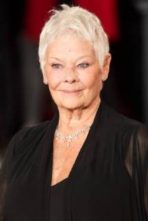 November 2, 2017 - London, London, UK - London, UK. JUDI DENCH attends the world film premiere of Murder On The Orient Express. London UK - ZUMAl94_ 20171102_zaf_l94_091 Copyright: xRayxTangx