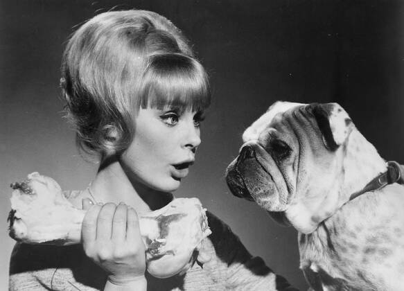 GERMAN ACTRESS ELKE SOMMER WITH A DOG ; 3 JANUARY 1964, Copyright: Topfoto  UnitedArchivesIPU469259