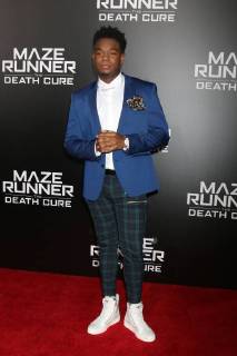 LOS ANGELES - JAN 18: Dexter Darden at the Maze Runner: The Death Cure Fan Screening at AMC 15 on January 18, 2018 in Century City, CA  Copyright: xKathyxHutchinsx xIPAx xHutchinsxPhotox