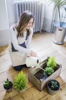Smiling woman at home watering plants model released Symbolfoto property released  GIOF03675