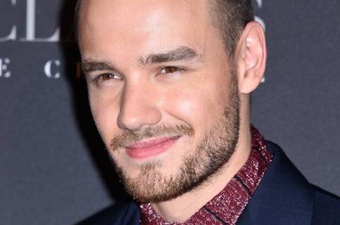 Fifty Shades of Grey 3 Premiere in Paris Liam Payne ( chanteur ) lors du photocall pour l avant premiere du film 50 NUANCES PLUS CLAIRES a Paris CELEBRITES : Avant premiere du film 50 NUANCES PLUS CLAIRES - Paris - 06 02 2018 FedericoPestellini Panoramic 