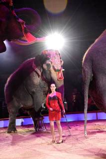 Jana Mandana Lacey Krone at the premiere of the 3 Winter Program 2018 of Circus Krone in Kronebau Munich 01 03 2018 Foto:xP.xSchönbergerx xFuturexImage