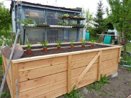Raised bed in the garden can be planted Raised bed in garden ready for being planted  1088810229