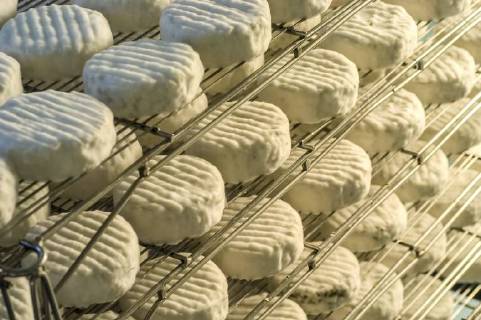Cheese making Copyright: xPBAx ALLPB600521