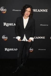 BURBANK, CA - MARCH 23: Sarah Gilbert, at Roseanne Premiere Event at Walt Disney Studio Lot on March 23, 2018 in Burbank, California. Copyright: xFayexSadoux