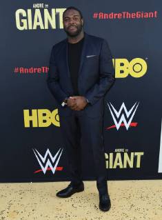 March 29, 2018 - Hollywood, CA, U.S. - 29 March 2018 - Hollywood, California - Sam Richardson. Andre the Giant Los Angeles Angeles premiere held at ACinerama Dome. Photo Credit: AdMedia Hollywood U.S. - ZUMAa123 20180329_zaa_a123_121 Copyright: xBirdiexThompsonx