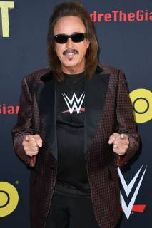 March 29, 2018 - Hollywood, CA, U.S. - 29 March 2018 - Hollywood, California - Jimmy Hart. Andre the Giant Los Angeles Angeles premiere held at ACinerama Dome. Photo Credit: AdMedia Hollywood U.S. - ZUMAa123 20180329_zaa_a123_003 Copyright: xBirdiexThompsonx