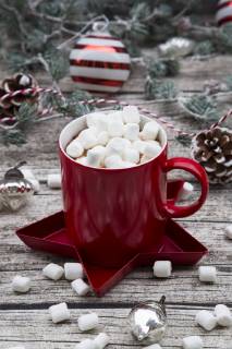 Hot Chocolate with marshmellows and christmas baubles  LVF06780