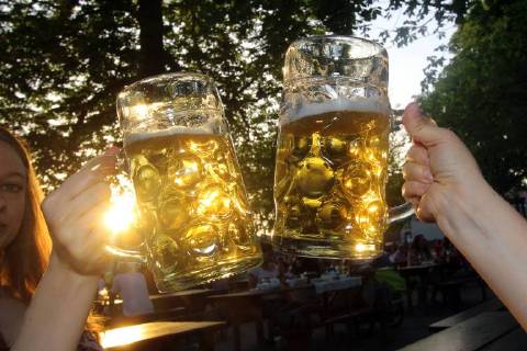 Two measure mugs of beer in the evening sun of a warm spring day in the beer garden. Royal deer garden in Munich. Bavaria. Germany