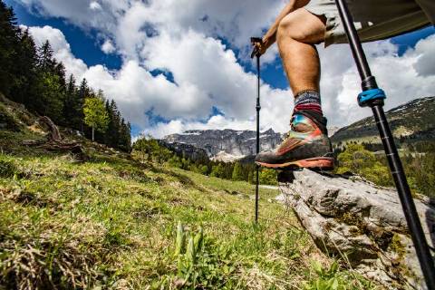 Leg of a Mountain Hiker with Shoe and Walking Poles on Rock in the Mountains  1098800036
