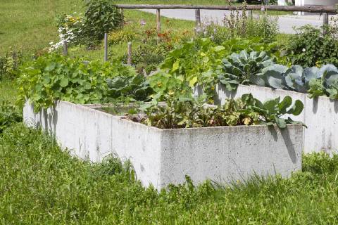 Raised bed raised bed  1065512328