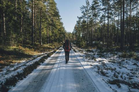 Sweden, Sodermanland, backpacker hiking on path in remote forest in winter model released Symbolfoto  GUSF00931