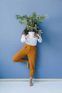 Pretty young woman holding potted plant in front of her face model released Symbolfoto property released  KNSF03956