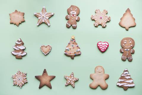 Rows of various gingerbread decorated with sugar icing on bright green ground  SKCF00461