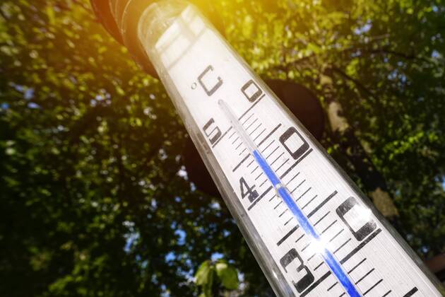 Thermometer in the garden shows 45Ã‚ Â° C in the sun of the summer of summer 2018 ** NUR FUER REDAKTIONELLE ZWECKE ** EDITORIAL USE ONLY **