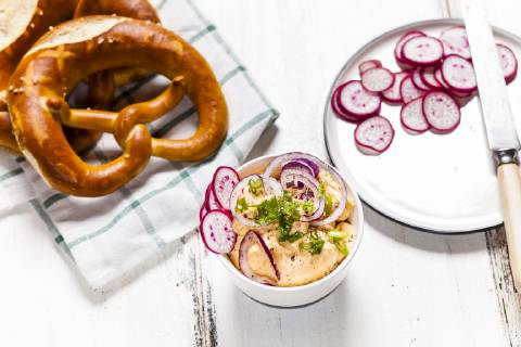 Obatzda with red onion, radish, spring onion and pretzel  SBDF03697