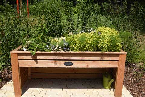 Raised bed of herbs Vegetables raised bed Herbs Vegetables